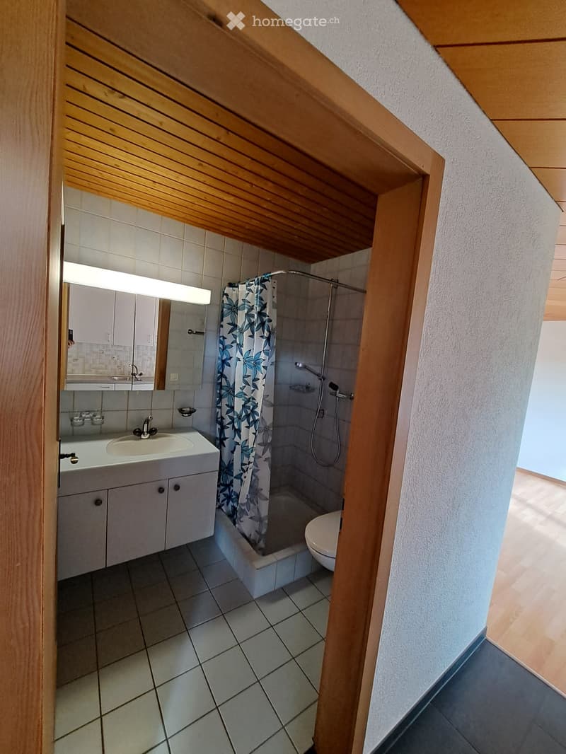 Studio zu vermieten (4)