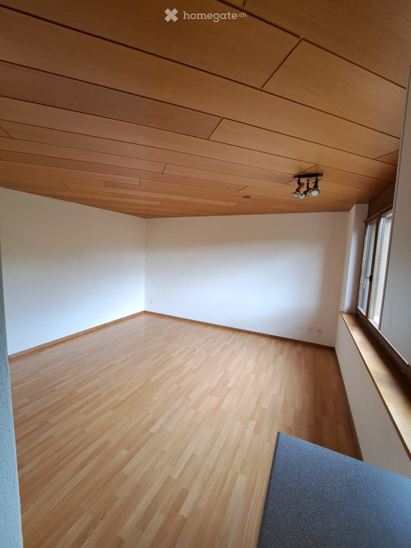 Studio zu vermieten (5)