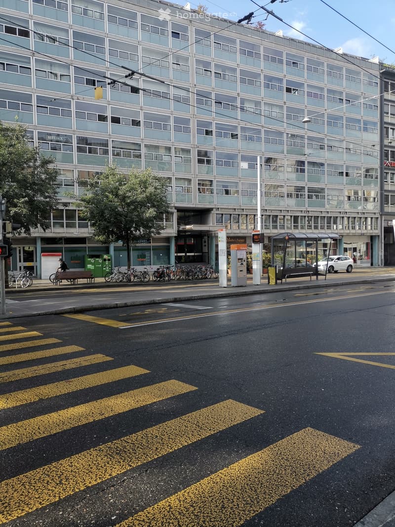 3-pièces appartement lumineux au coeur de Genève (5)