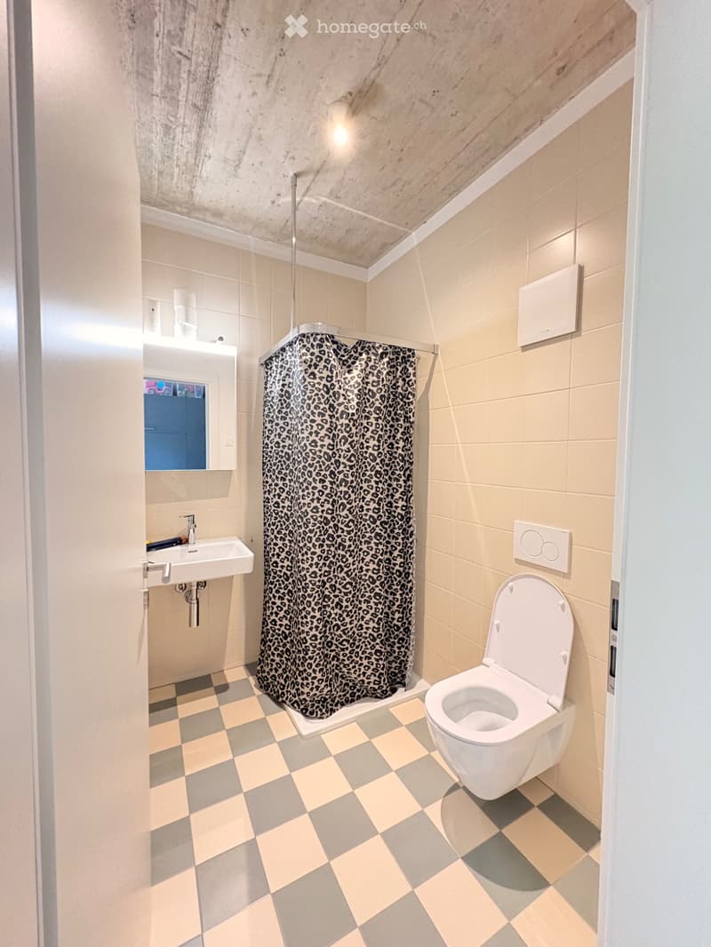2,5 Zimmer Wohnung in Burgdorf (4)