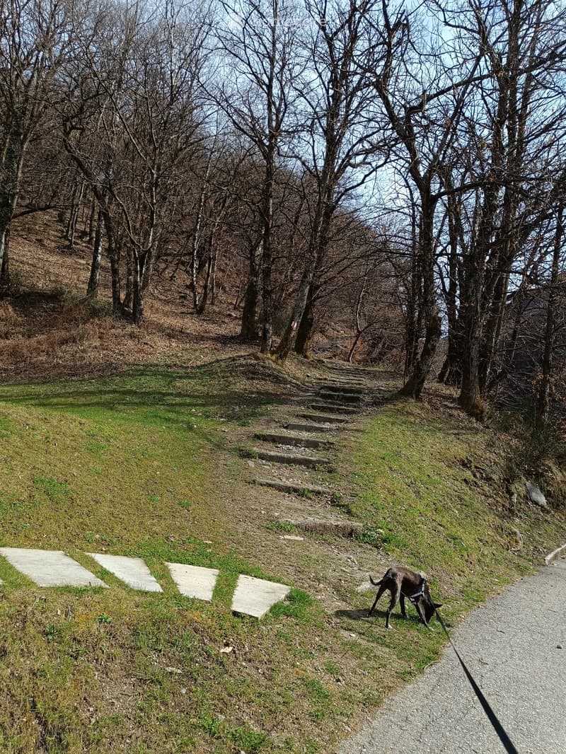 2.5 locali a 1'375 TC (1)