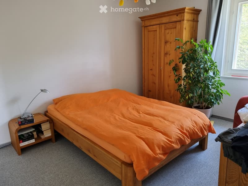 3.5 Zimmerwohnung (3)