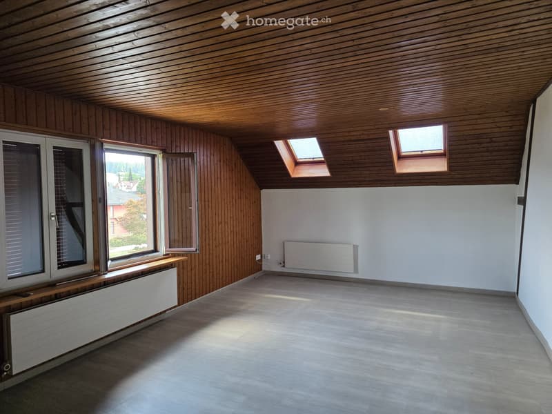Wohnung zu Vermieten (3)