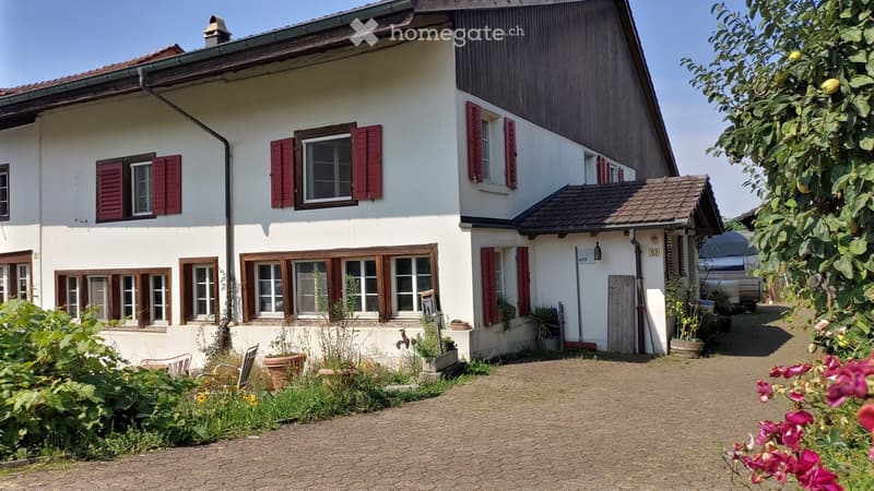 WG-Zimmer frei (1)
