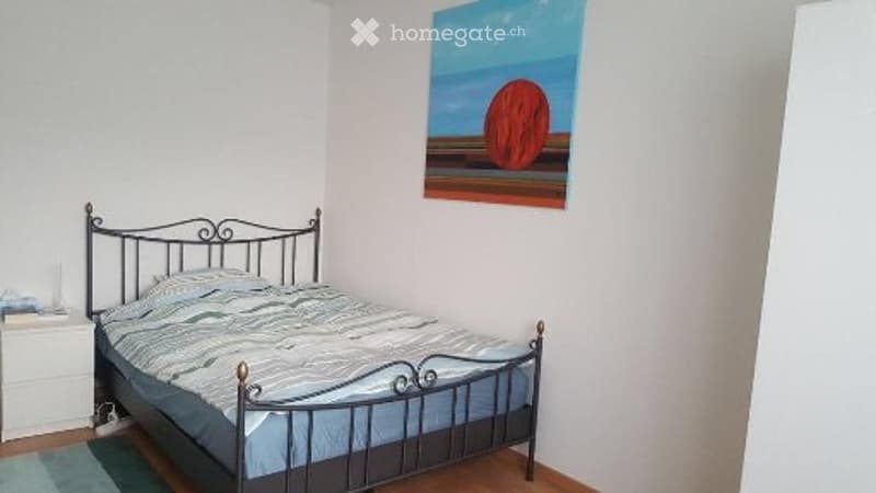 WG Zimmer in einer 3er WG, 15 Minunten zum HB in Adliswil (1)
