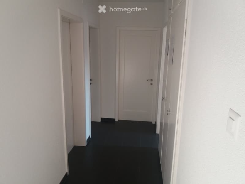 WG Zimmer in einer 3er WG, 15 Minunten zum HB in Adliswil (5)