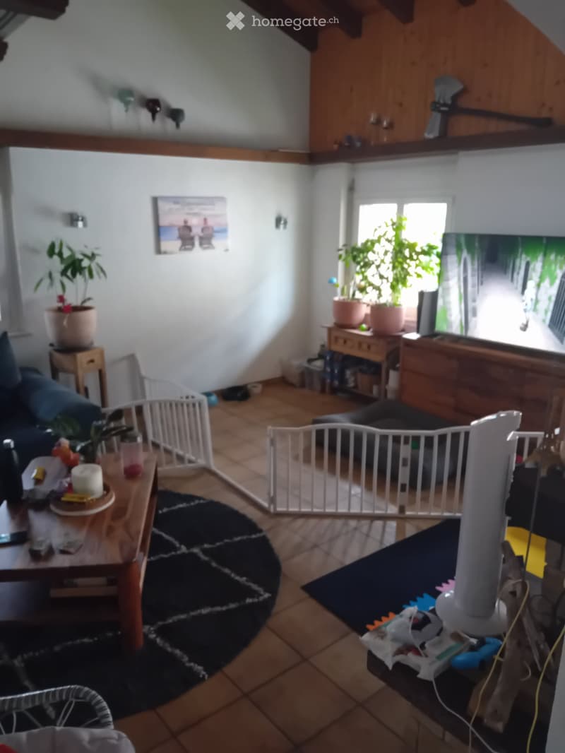 Zu vermieten (4)