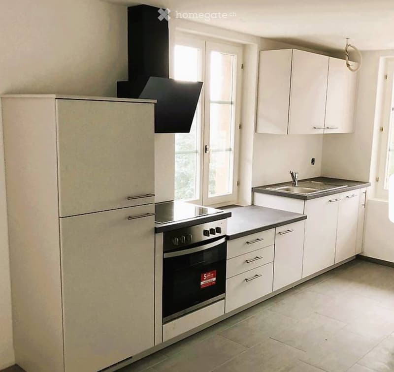 1-Zimmer Studio-Wohnung nähe Sursee (1)