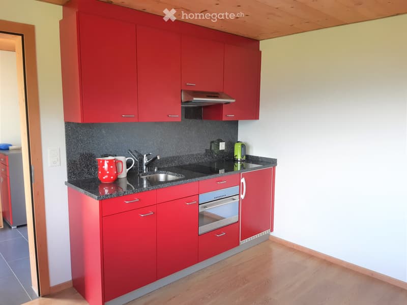 Wohnung zur Dauermiete oder Ferienwohnung zu vermieten (2)