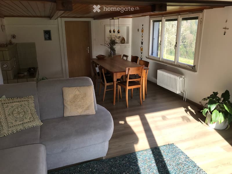 Bauernhaus zu vermieten (4)