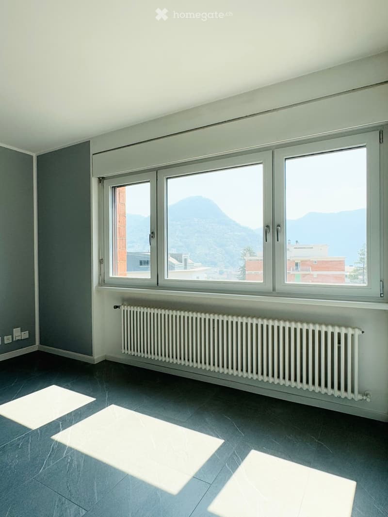 4.5 locali a Massagno, vista Monte Brè e parziale sul lago (11)