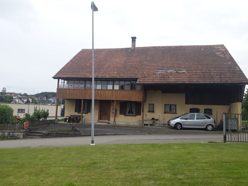 Charmante 3.5 Zimmerwohnung (1)