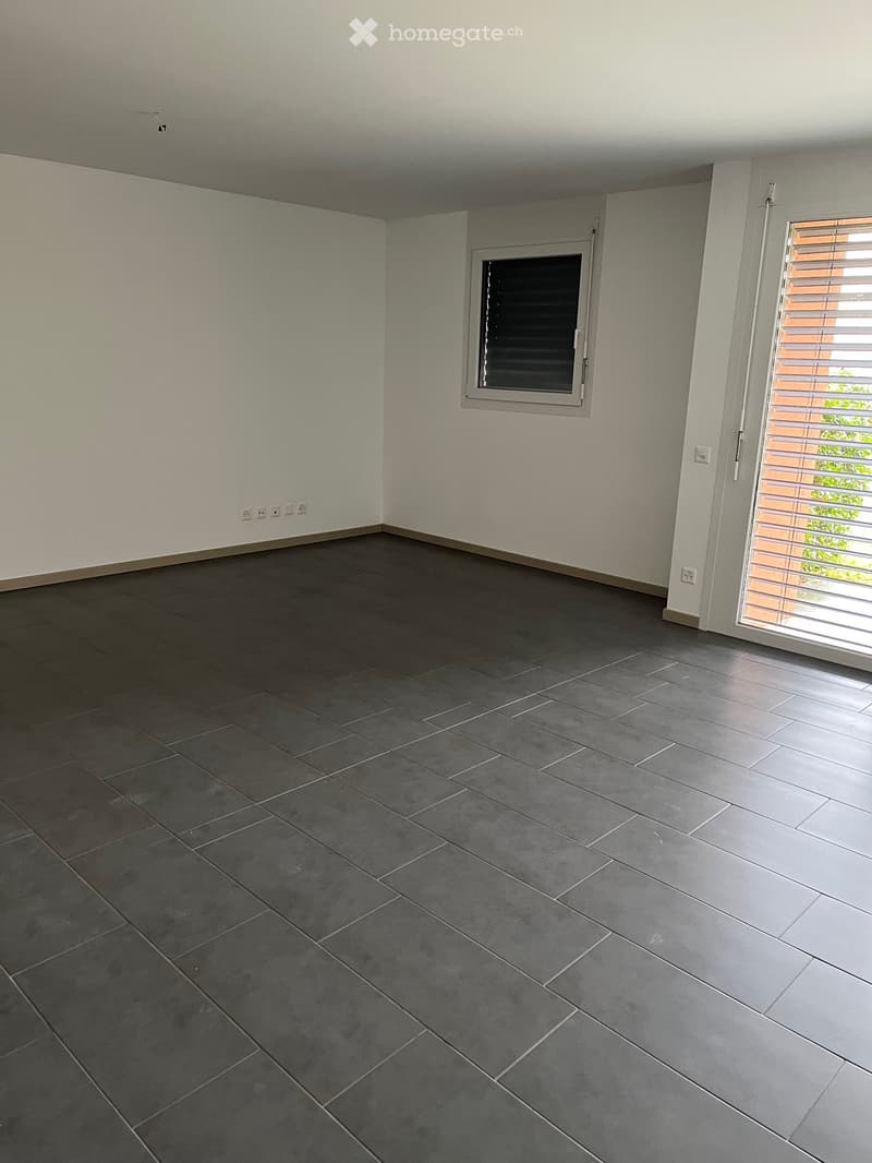 Affittasi moderno appartamento a Stabio (5)