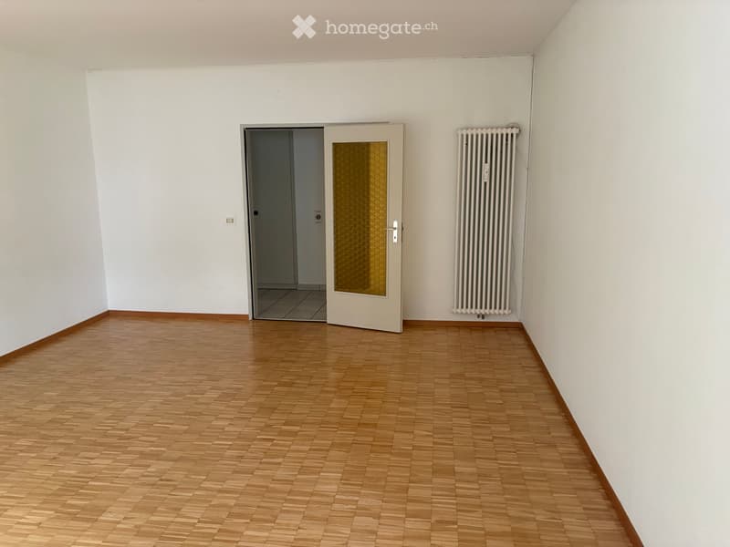 Appartamenti 4.5 locali (4)