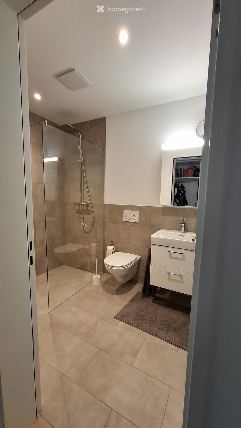 3.5 Zimmer Wohnung / Zweitbezug (3)