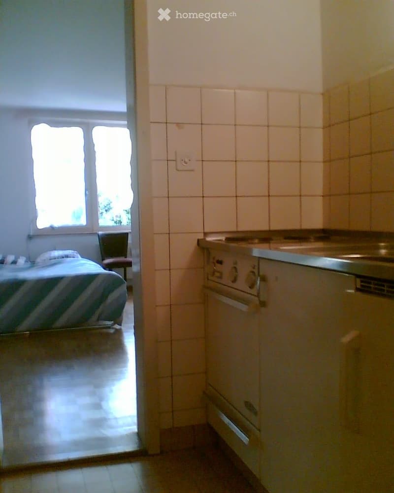 1-Zimmer Wohnung Basel (3)
