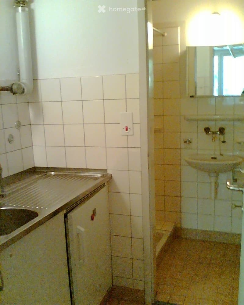 1-Zimmer Wohnung Basel (2)