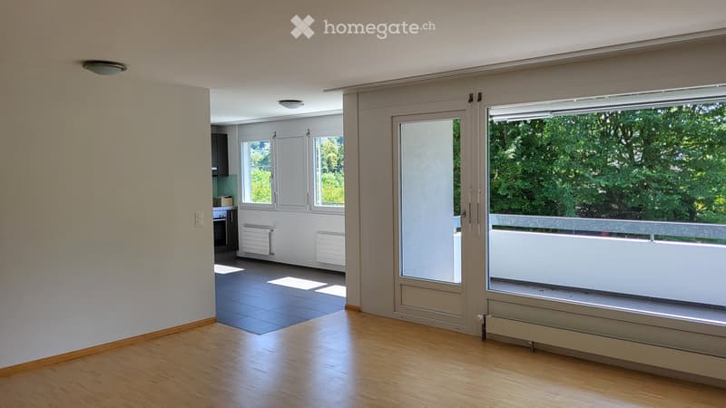 neu renovierte Wohnung (1)