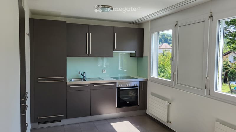 neu renovierte Wohnung (3)