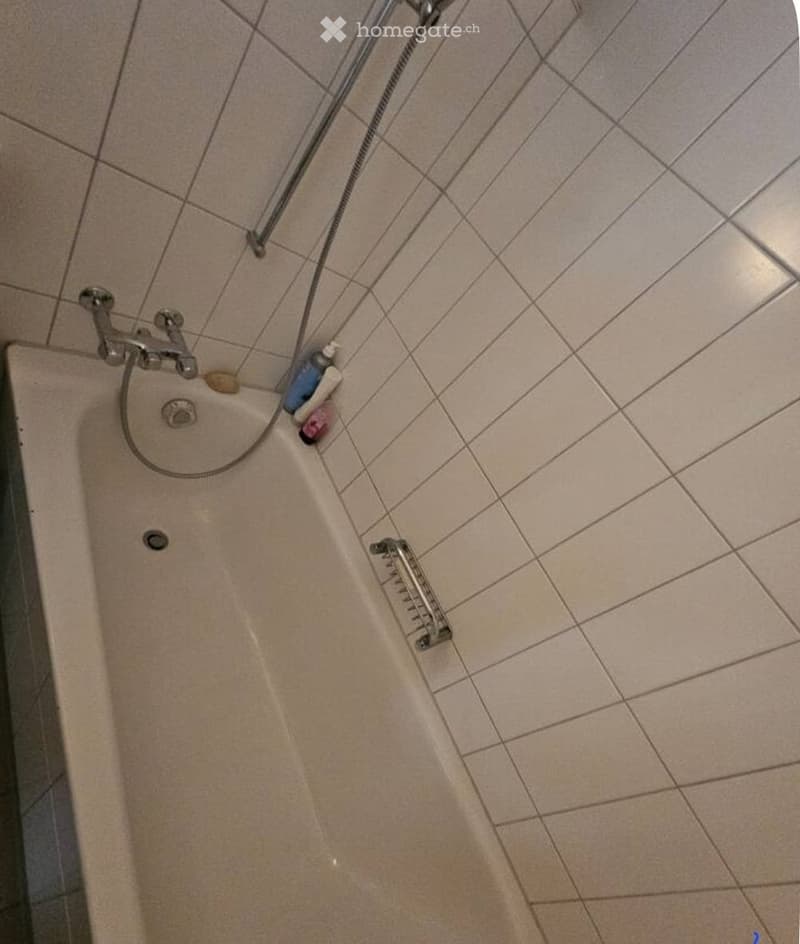 Wohnung untermieten max. 3 Mt. (1)
