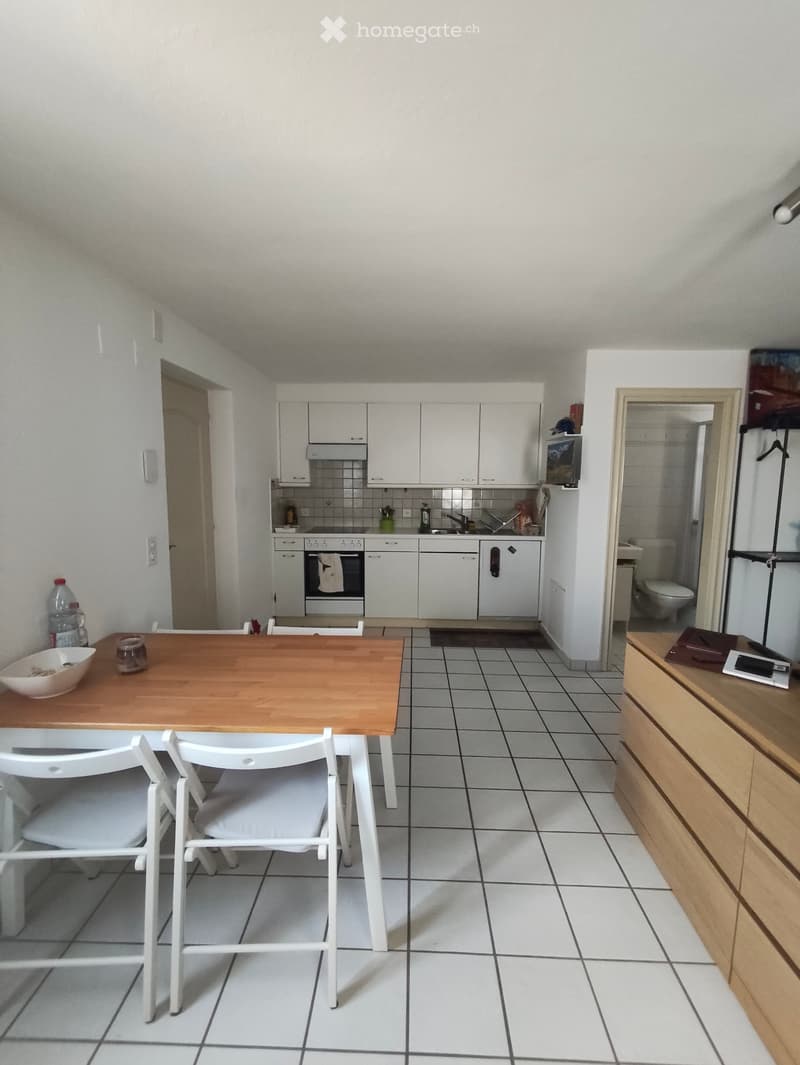 Cerco subentrante 1.5 locali a Minusio (1)