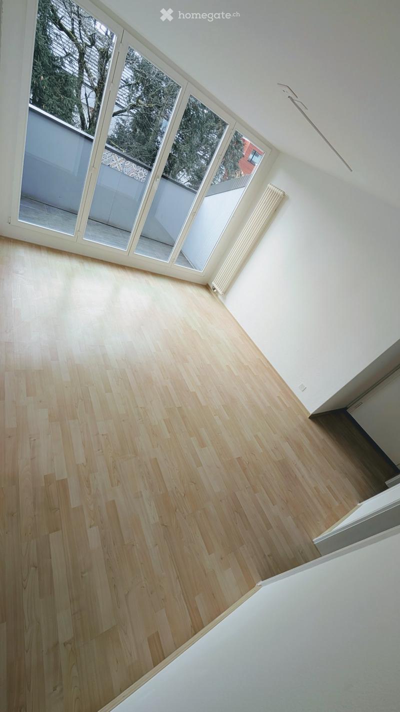 Renovierte 3.0-Zi-Wohnung an bester Lage (2)