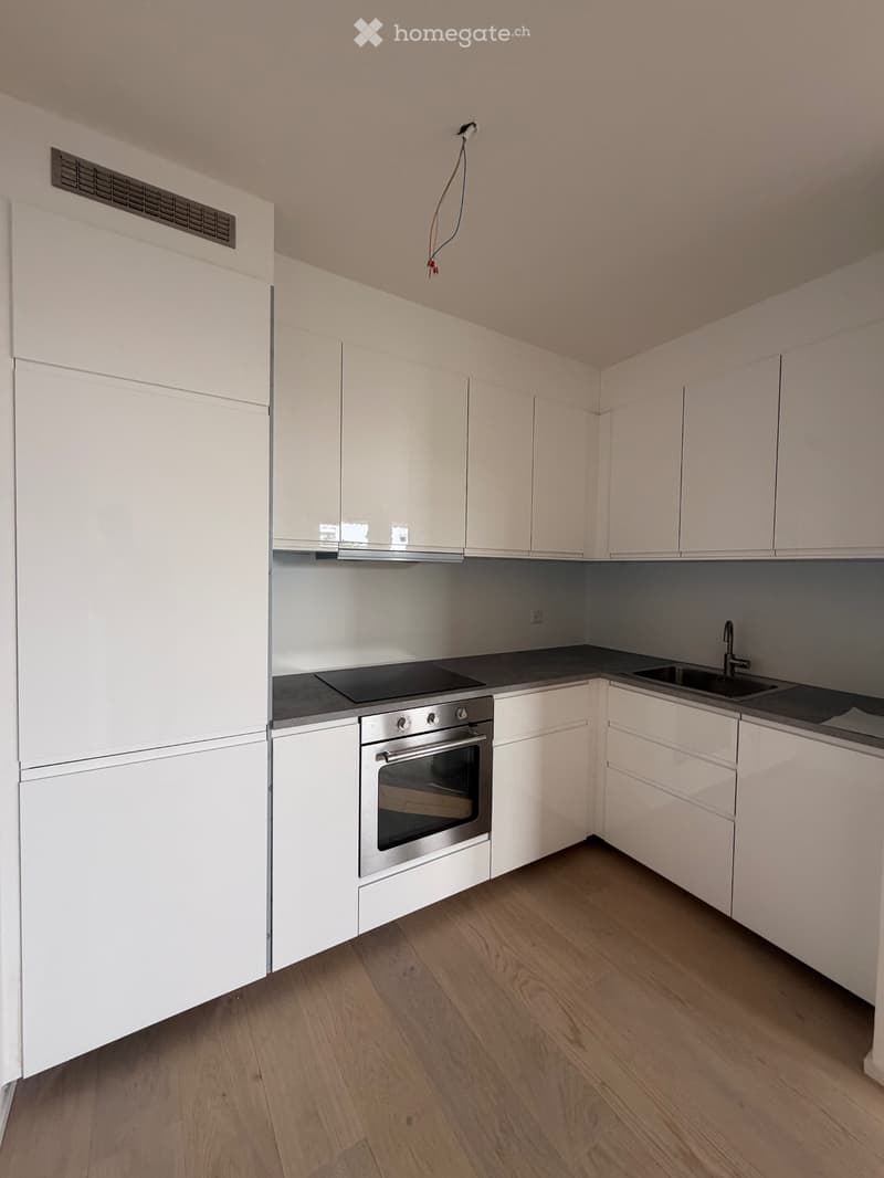 Affitto appartamento 2.5 locali rinnovato con giardino (4)