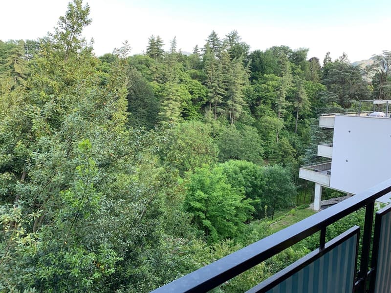 Bellissimo Appartamento immerso nel verde (3)