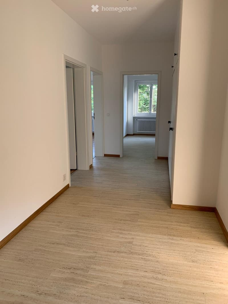 Bellissimo Appartamento immerso nel verde (4)