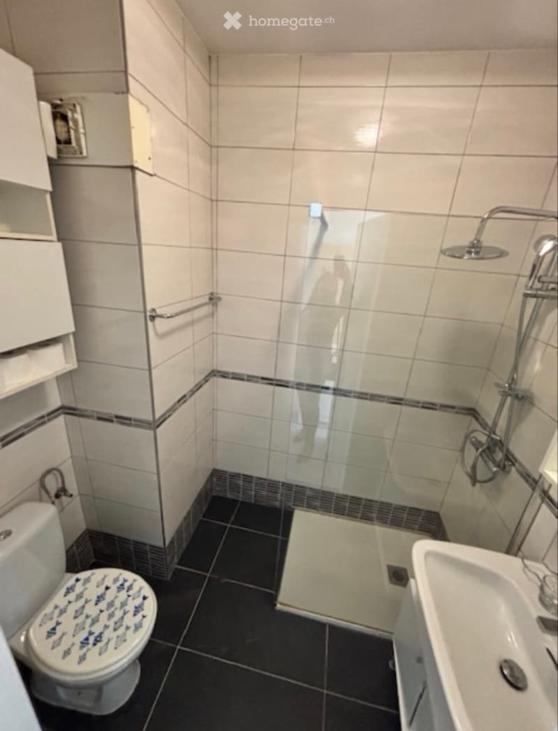 Studio 1.5 locali Caslano/Pura arredato + Posto auto (3)