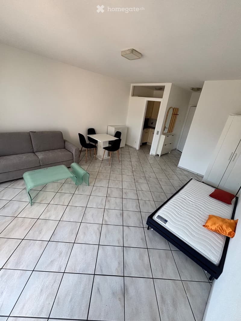 Studio 1.5 locali Caslano/Pura arredato + Posto auto (2)