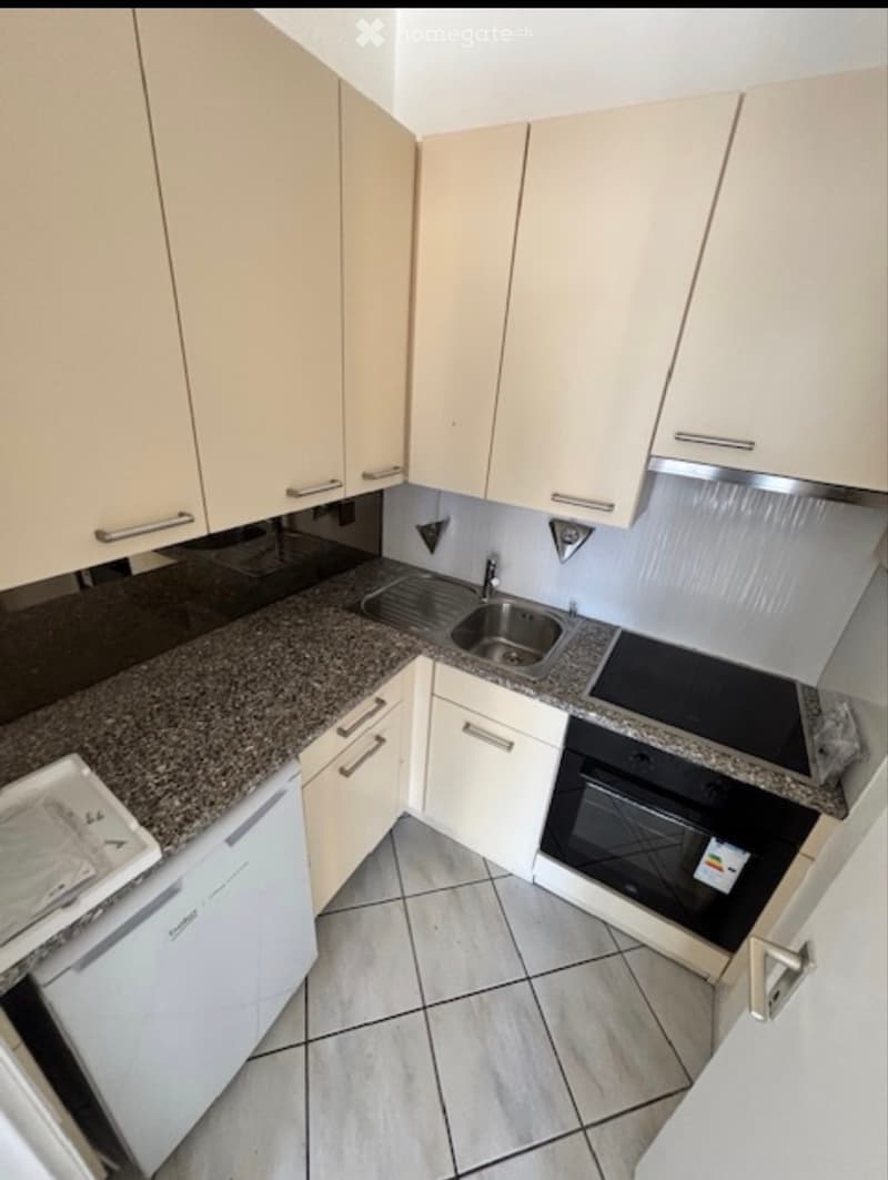 Studio 1.5 locali Caslano/Pura arredato + Posto auto (4)
