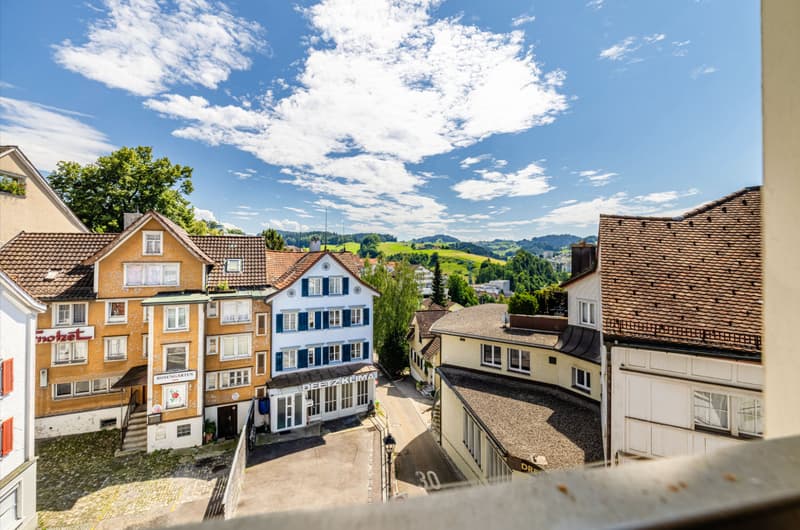 1.5 Zimmer Studio im Zentrum, Aussicht, Neu Renoviert (1)