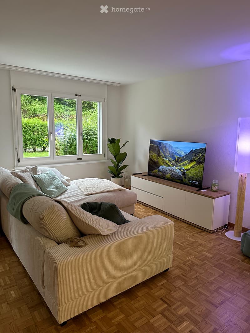 3 ½ Zimmer-Wohnung (1)