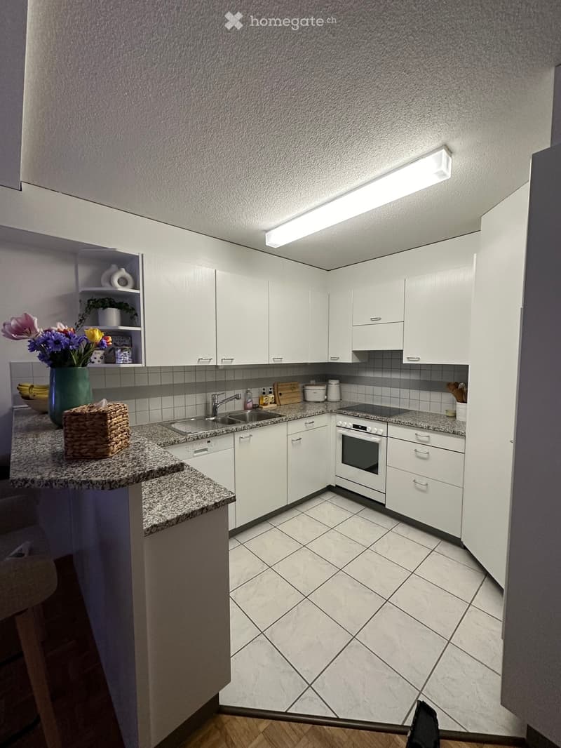3 ½ Zimmer-Wohnung (2)