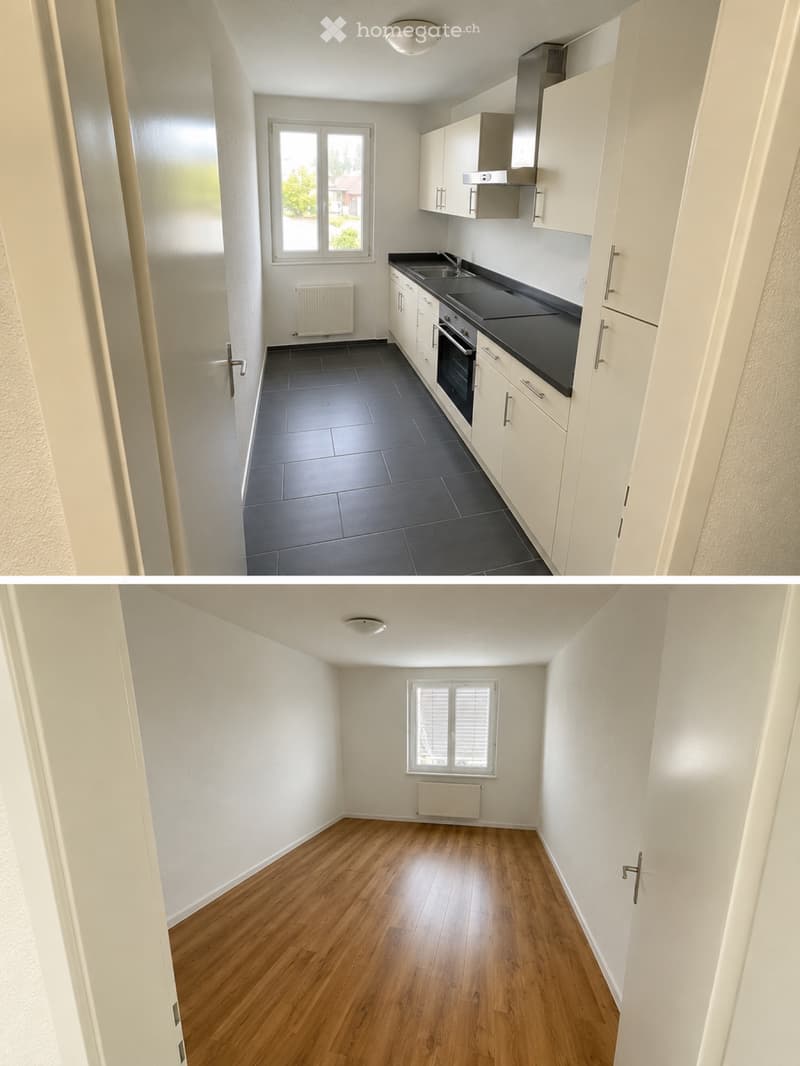 4.5-Zimmer-Wohnung in Steckborn zu vermieten / Untermieter (3)