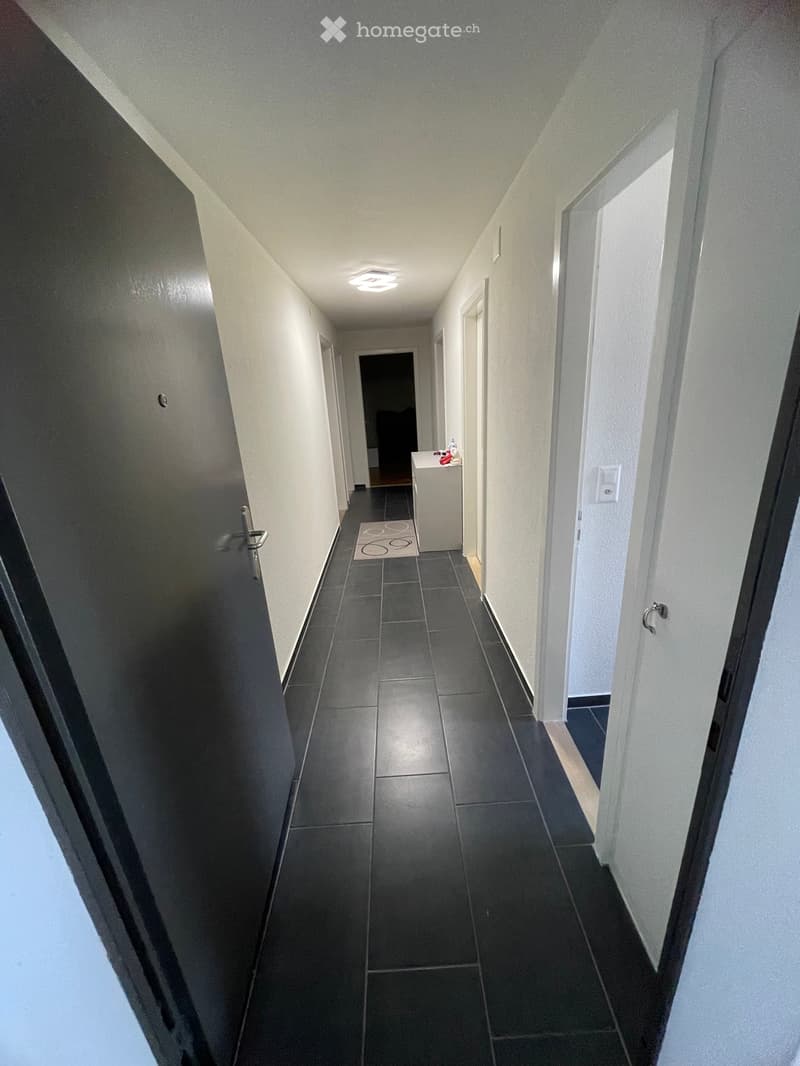 4.5-Zimmer-Wohnung in Steckborn zu vermieten / Untermieter (2)