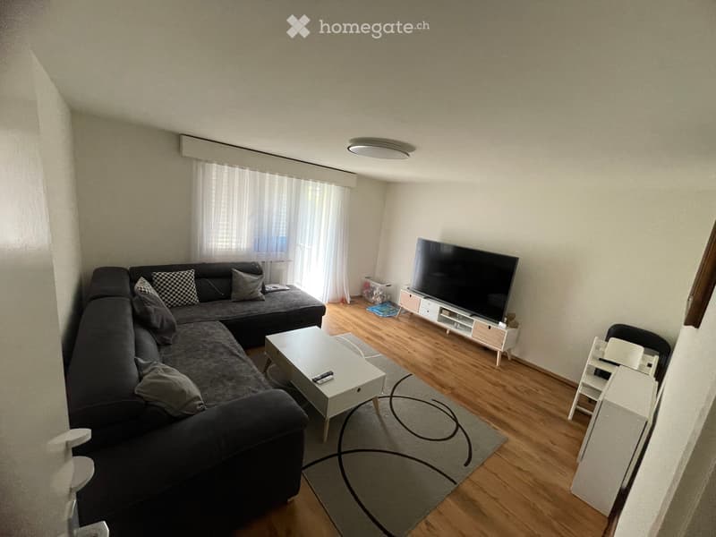 4.5-Zimmer-Wohnung in Steckborn zu vermieten / Untermieter (1)