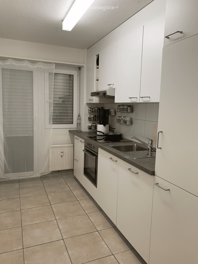 Möblierte BEFRISTETE 2-Zimmerwohnung (Oktober + November) (1)