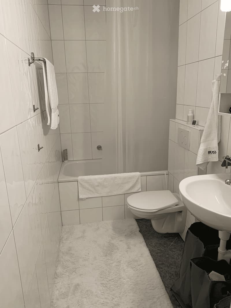 Möblierte BEFRISTETE 2-Zimmerwohnung (Oktober + November) (3)