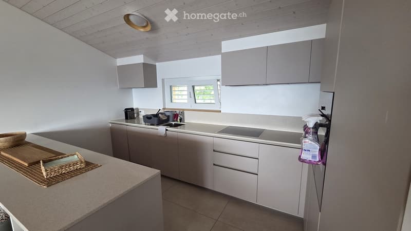 SUBENTRANTE DUPLEX: 4.5 LOCALI - BOSCO LUGANESE - Bellissimo (3)