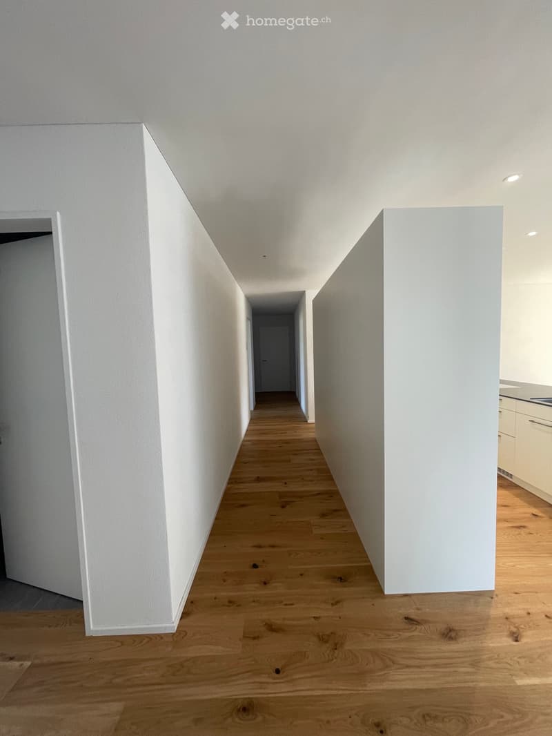 Schöne helle 4 1/2 Zimmer Wohnung (4)