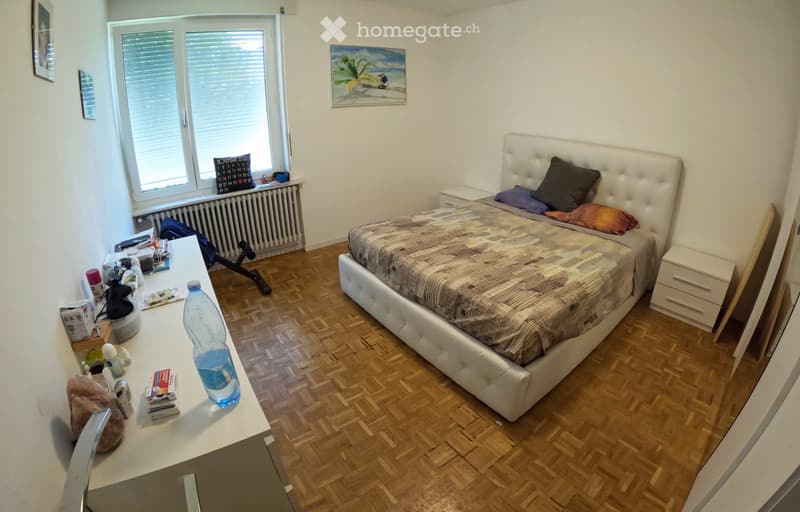 Affitto ampia stanza in casa indipendente con giardino (5)