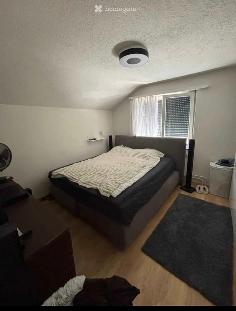 2.5 Zimmerwohnung (4)