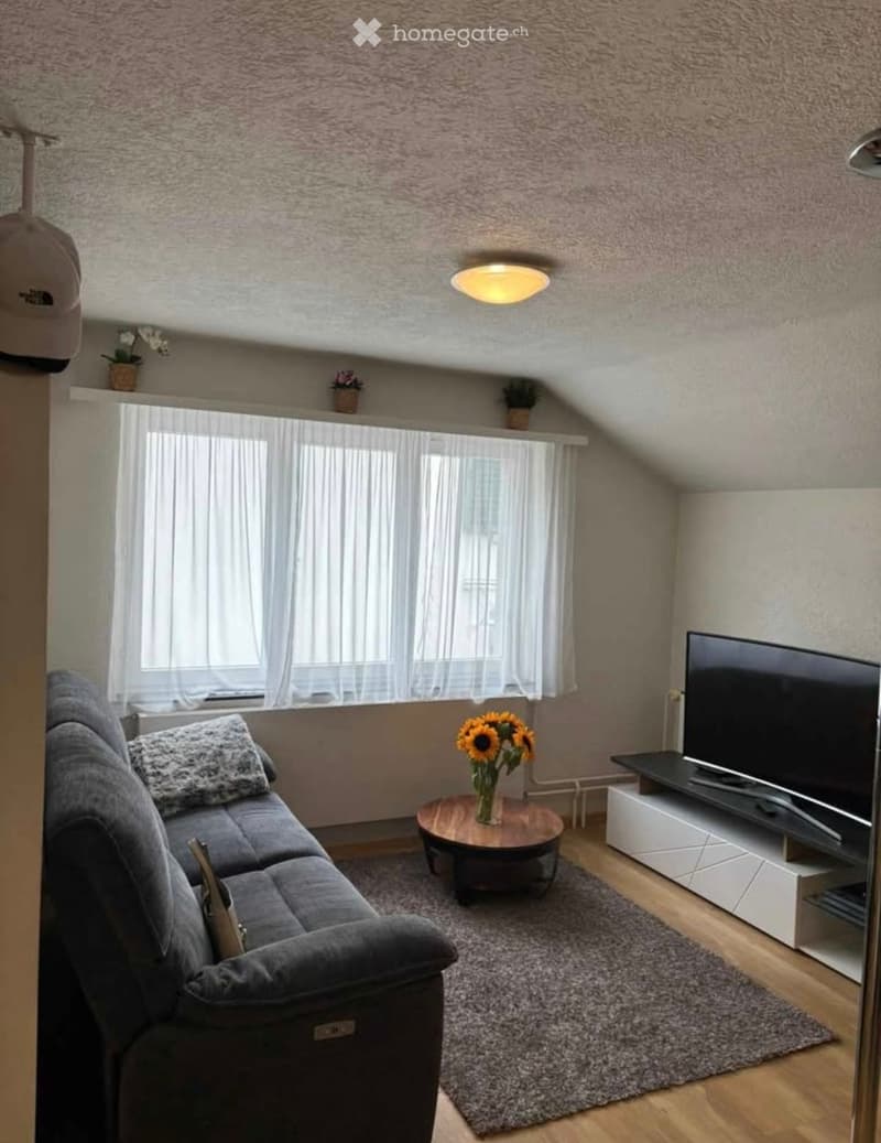 2.5 Zimmerwohnung (1)