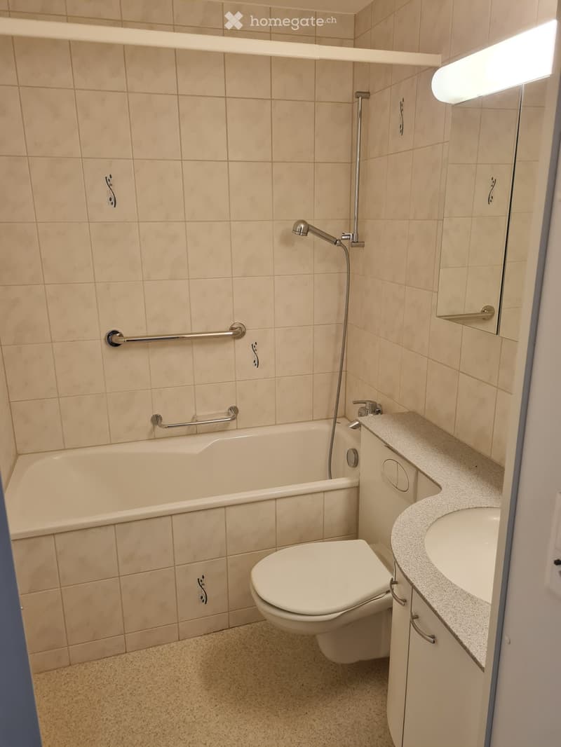 Schöne Wohnung an zentraler Lage in Therwil (3)