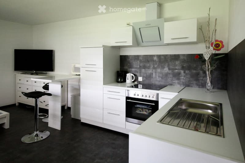 Affitasi Appartamento ammobiliato 1.5 locali (2)
