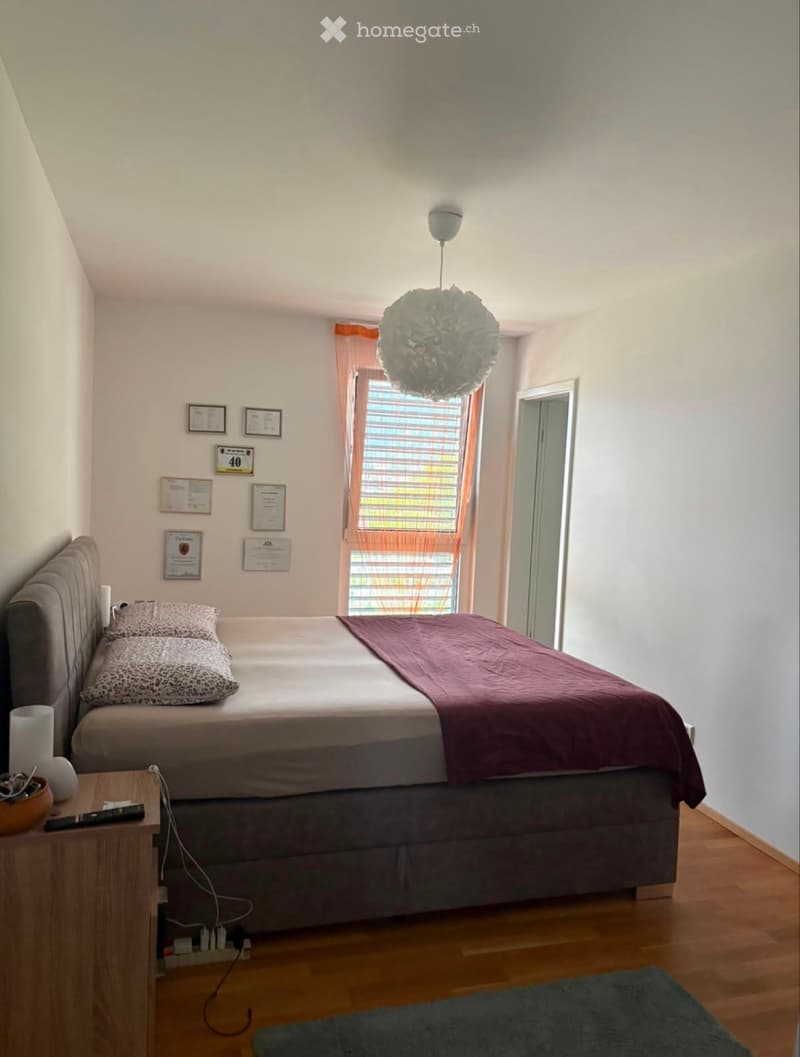 Appartamento 4.5 locali - Sant'Antonino (3)