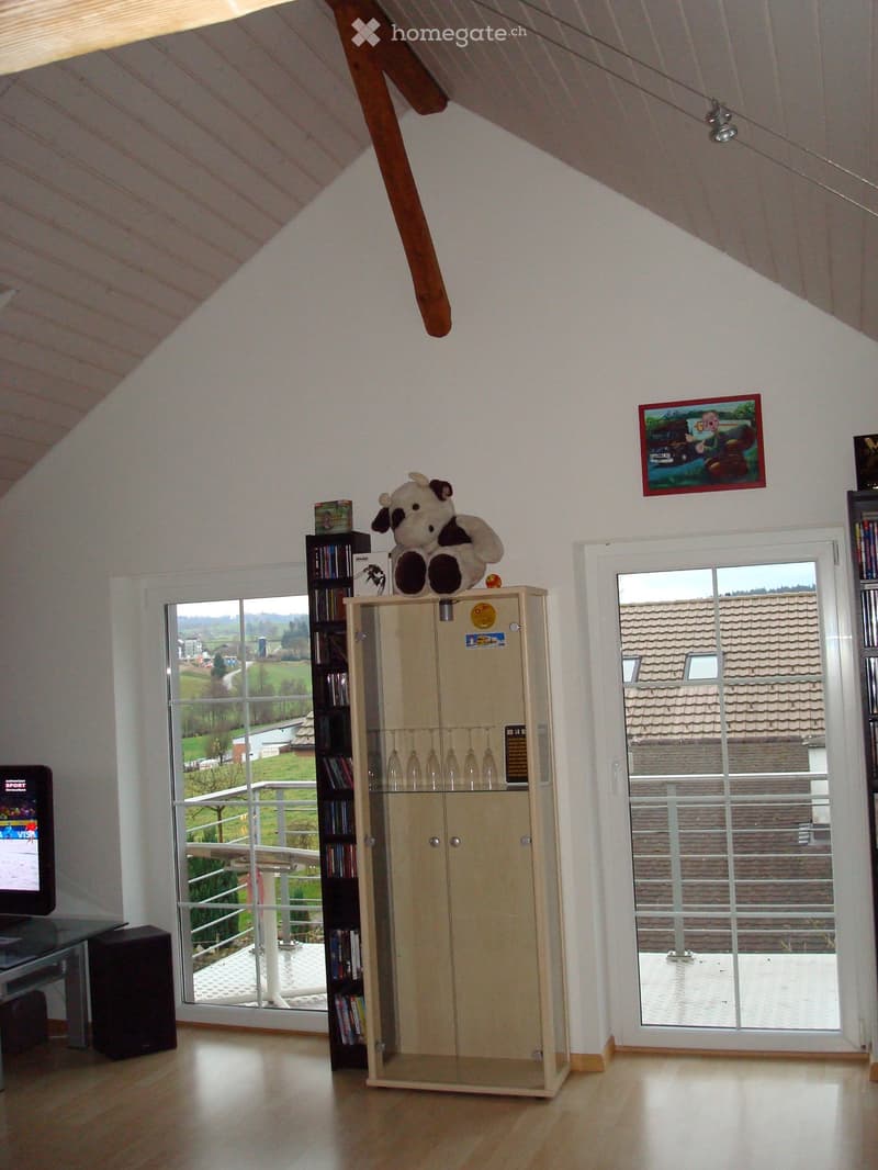 2 1/2 Zimmer-Dachwohnung auf dem Land in Waldnähe (2)