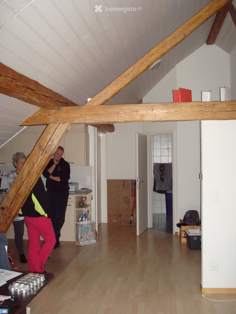 2 1/2 Zimmer-Dachwohnung auf dem Land in Waldnähe (4)